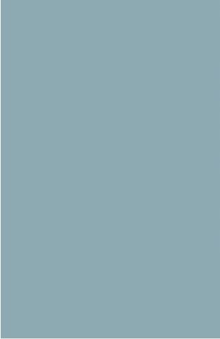 BIELTEX