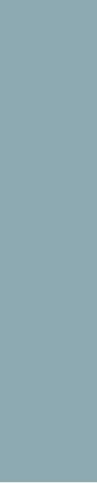 BIELTEX